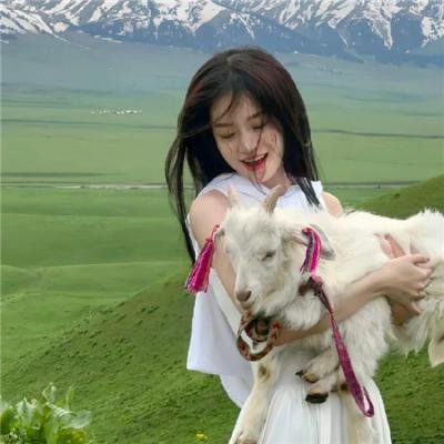 八人死亡
