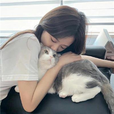 完美伴侣