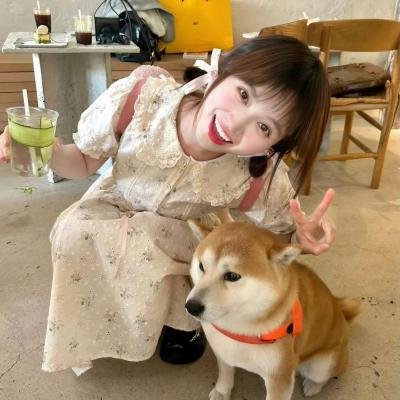 真爱大逃亡